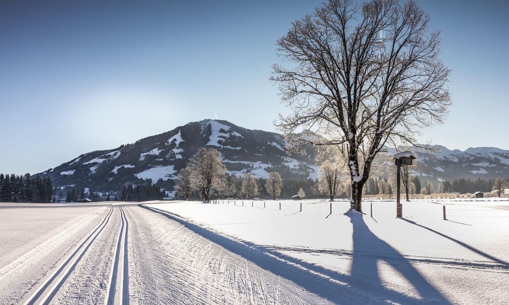 last minute skiurlaub